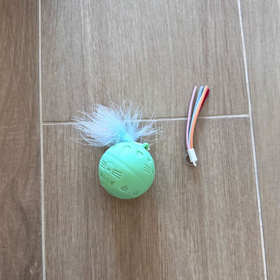 Pelota Crazy 🤪
