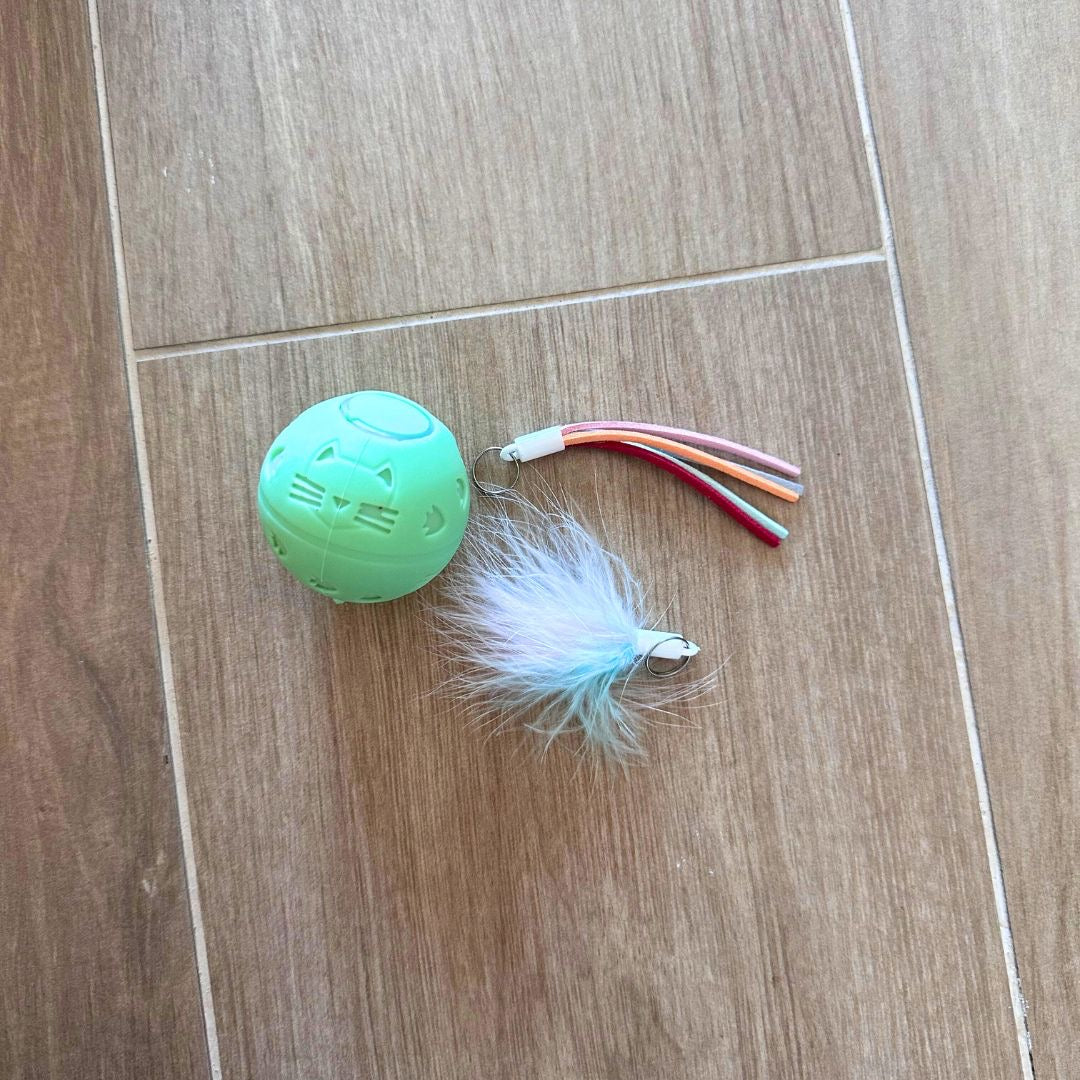 Pelota Crazy 🤪