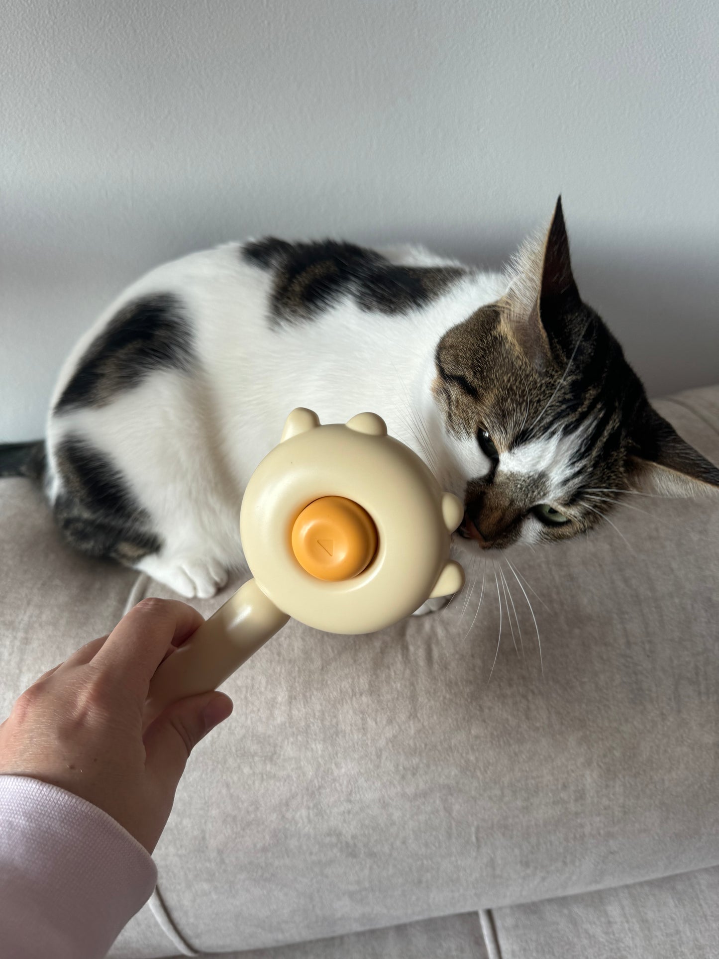 Cepillo de limpieza gatuna