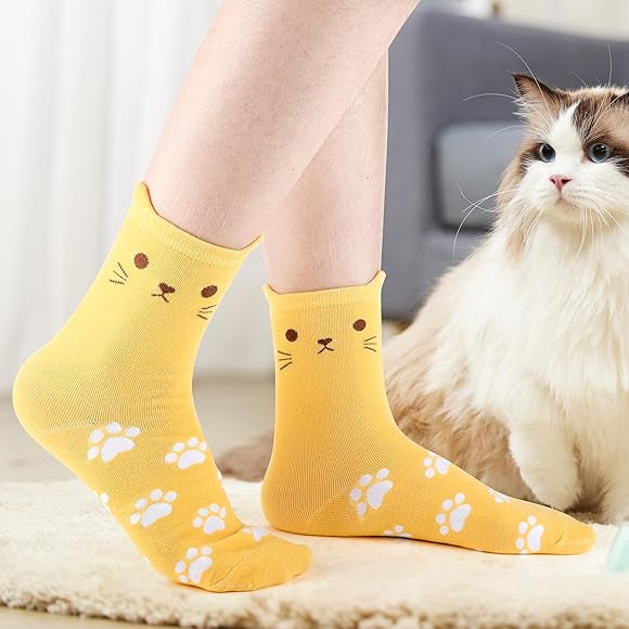 pack 5 calcetines gatunos