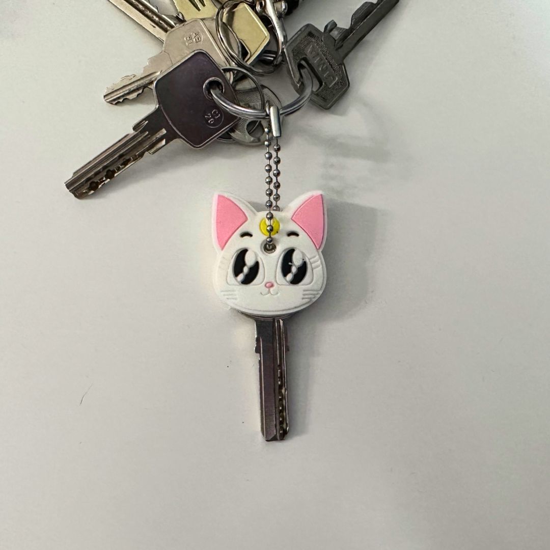 Funda para llaves 🔑😸