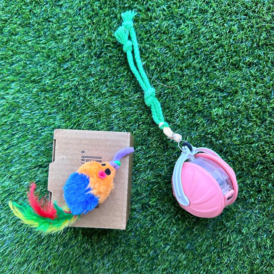 Pelota interactiva con ratón